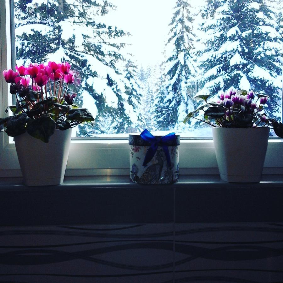 Apartment Luka Žabljak Pokoj fotografie